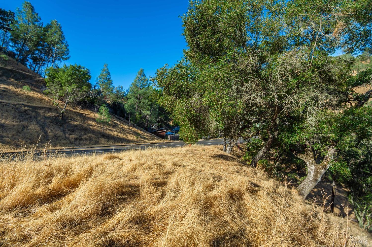 Detail Gallery Image 8 of 16 For 1187 Steele Canyon Rd, Napa,  CA 94558 - – Beds | – Baths