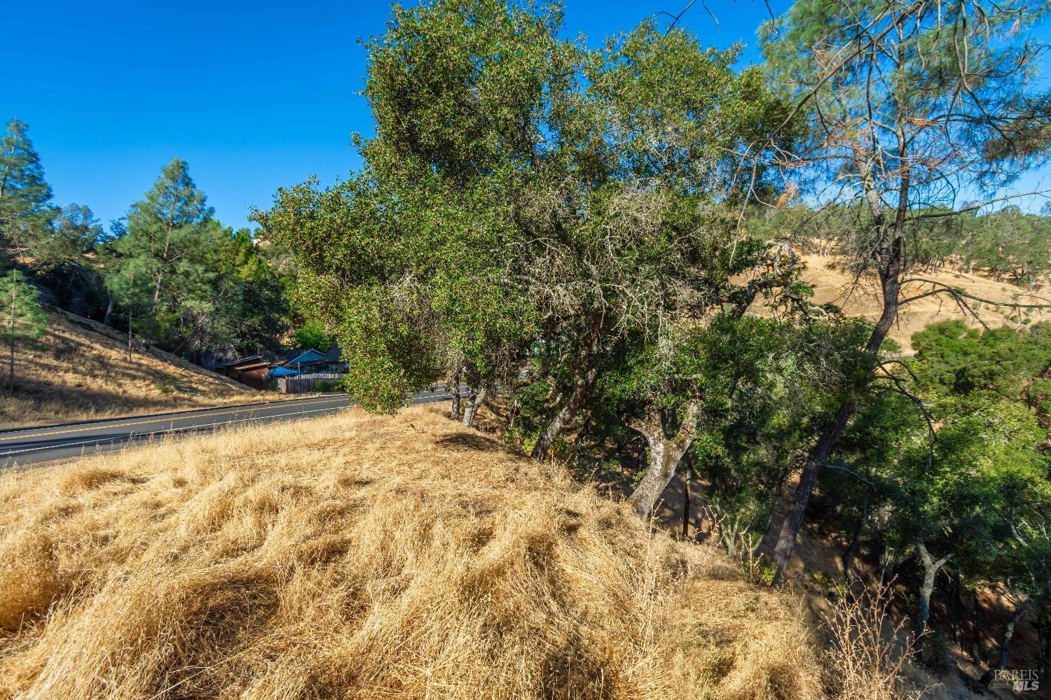 Detail Gallery Image 13 of 16 For 1187 Steele Canyon Rd, Napa,  CA 94558 - – Beds | – Baths