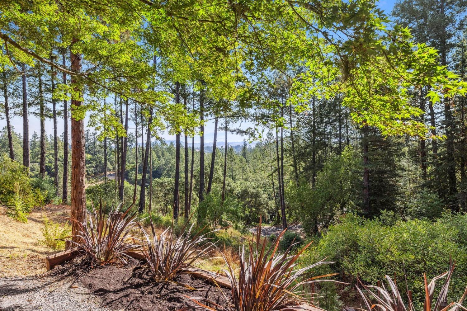 Detail Gallery Image 61 of 73 For 10820 Canyon Rd, Forestville,  CA 95436 - 2 Beds | 2 Baths