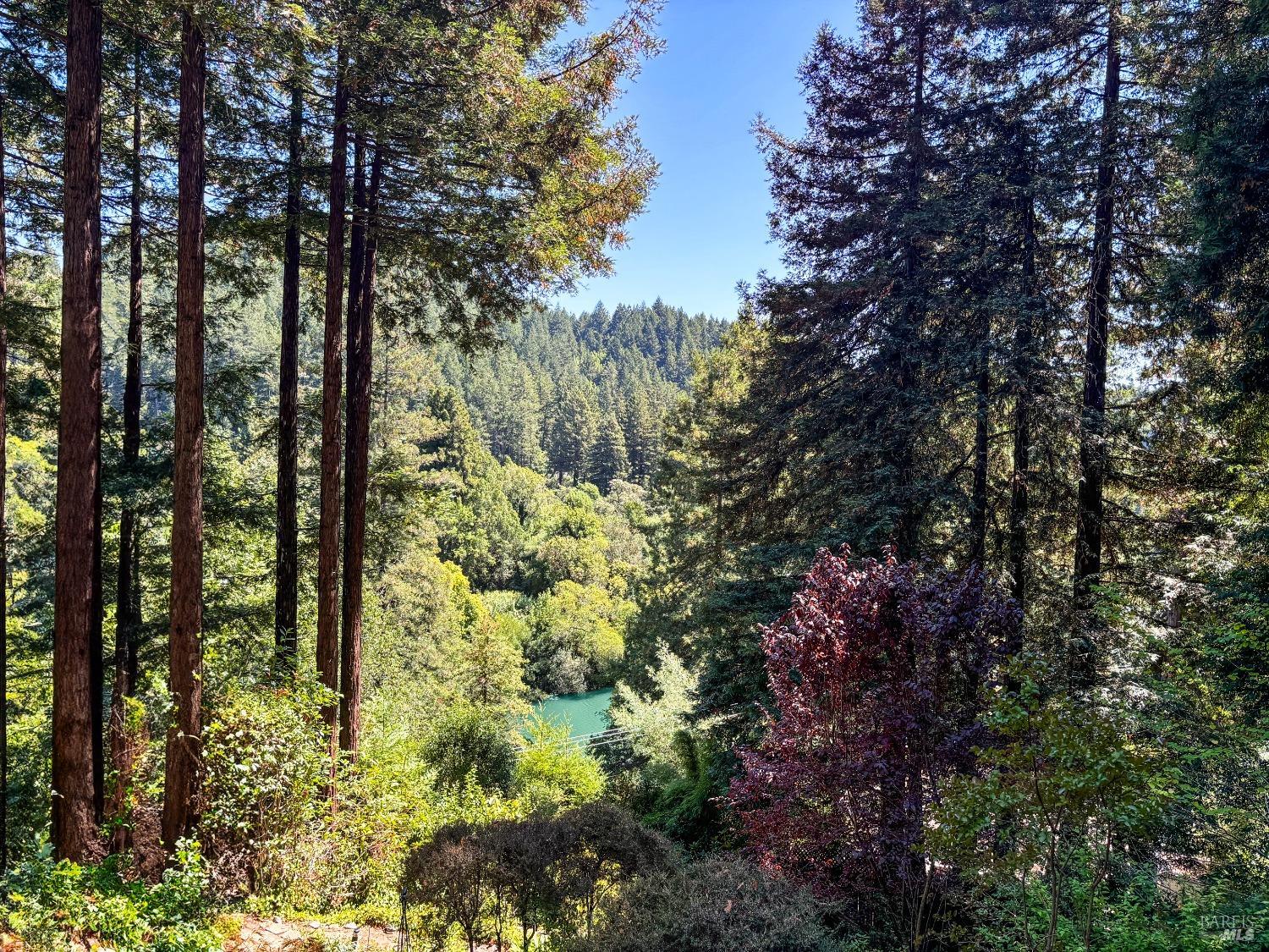 Detail Gallery Image 34 of 34 For 17815 Old Monte Rio Rd, Guerneville,  CA 95446 - 2 Beds | 1/1 Baths