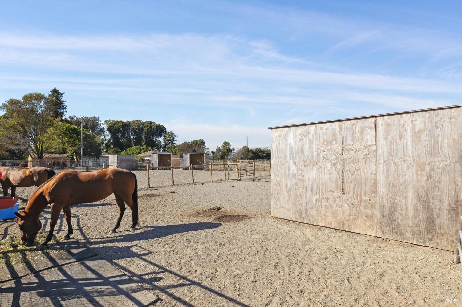 Detail Gallery Image 23 of 27 For 1199 Cuttings Wharf Rd, Napa,  CA 94559 - 2 Beds | 1 Baths