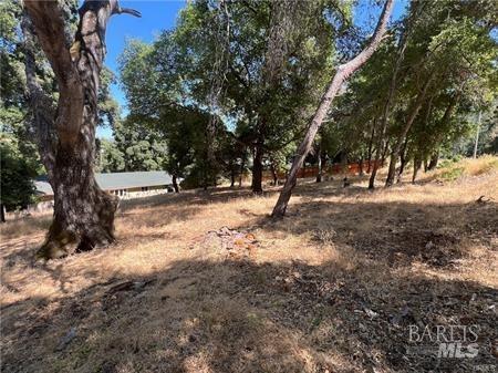 Detail Gallery Image 6 of 9 For 7892 Soda Bay Rd, Kelseyville,  CA 95451 - – Beds | – Baths