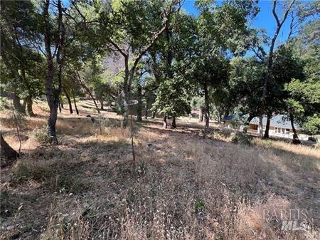 Detail Gallery Image 9 of 9 For 7892 Soda Bay Rd, Kelseyville,  CA 95451 - – Beds | – Baths