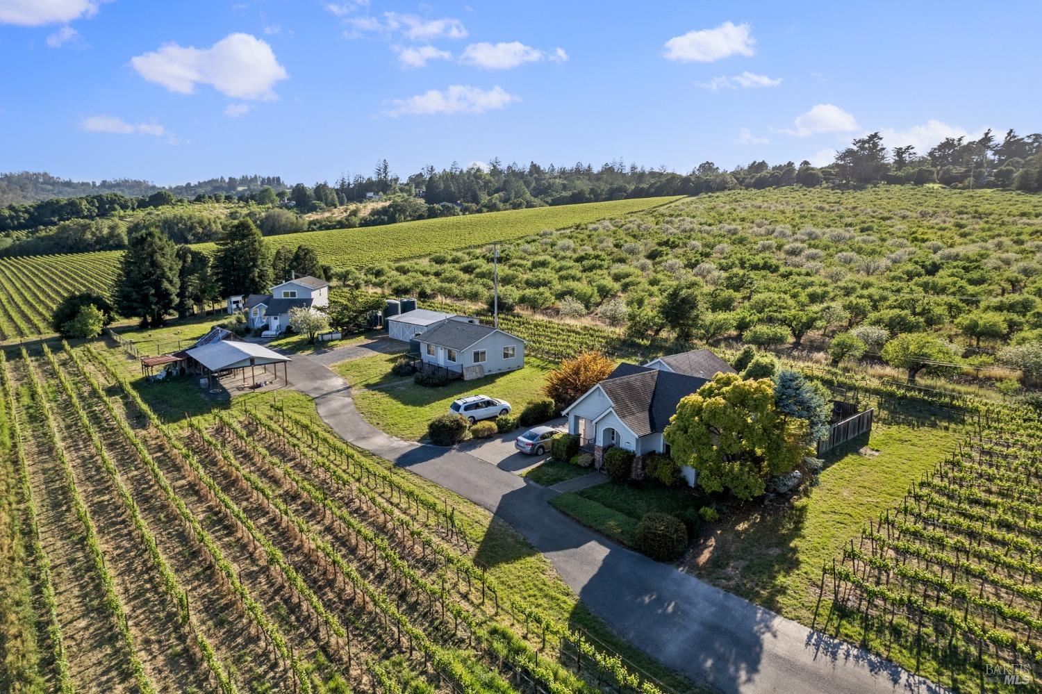 Detail Gallery Image 61 of 61 For 1800 Darby Rd, Sebastopol,  CA 95472 - 0 Beds | 0 Baths