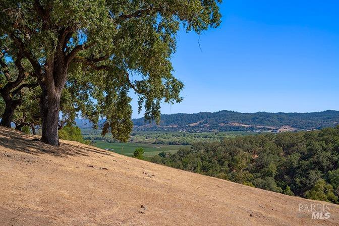 Detail Gallery Image 30 of 54 For 369 Deer Path Dr, Geyserville,  CA 95441 - – Beds | – Baths