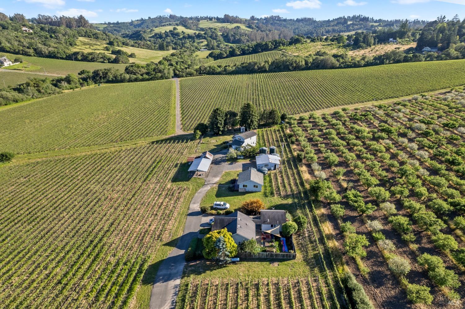 Detail Gallery Image 1 of 61 For 1800 Darby Rd, Sebastopol,  CA 95472 - 0 Beds | 0 Baths