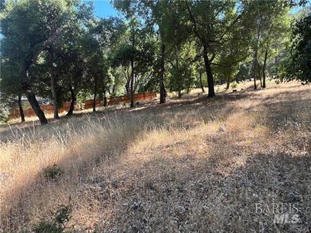 Detail Gallery Image 7 of 9 For 7892 Soda Bay Rd, Kelseyville,  CA 95451 - – Beds | – Baths