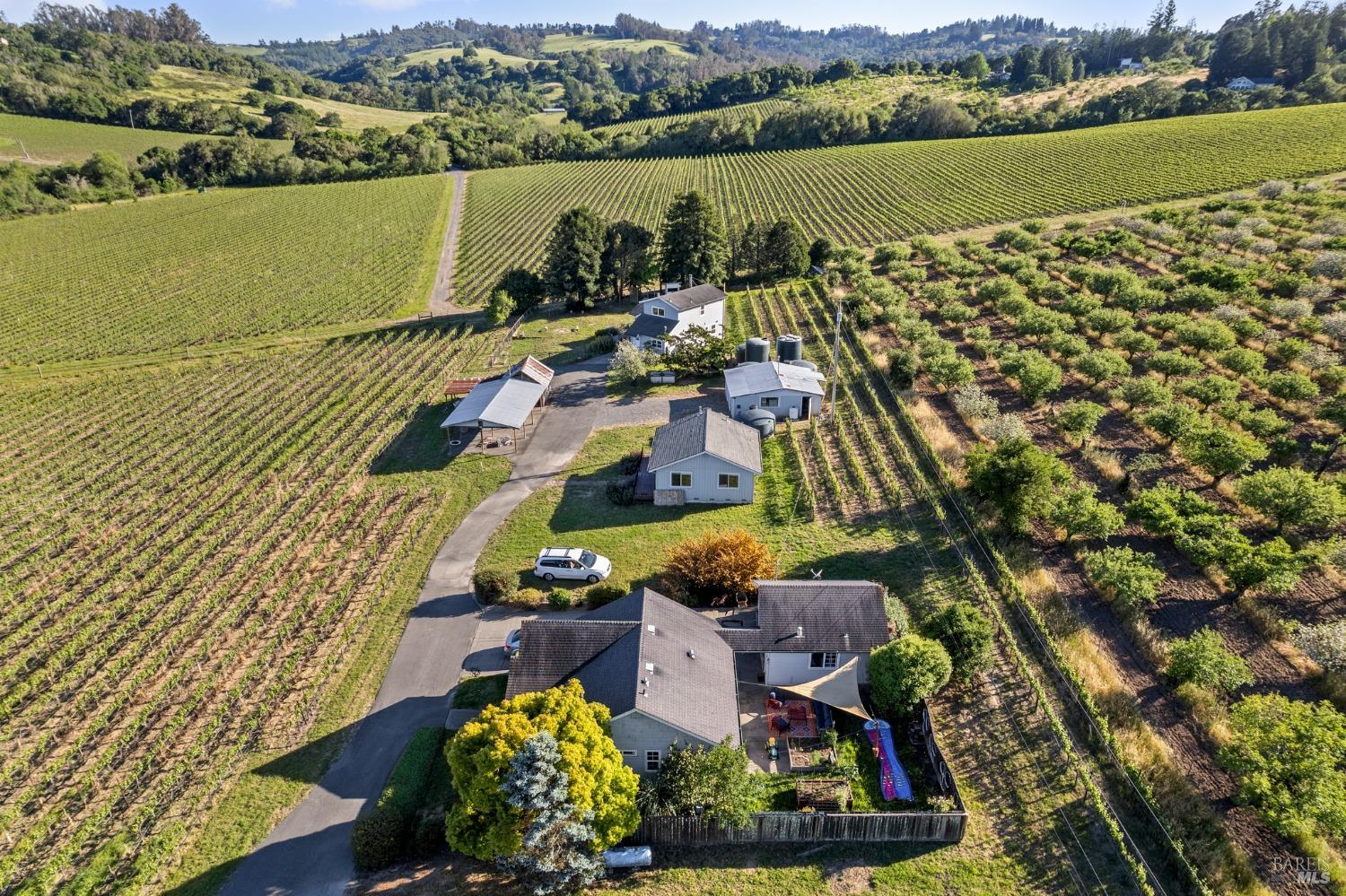 Detail Gallery Image 60 of 61 For 1800 Darby Rd, Sebastopol,  CA 95472 - 0 Beds | 0 Baths