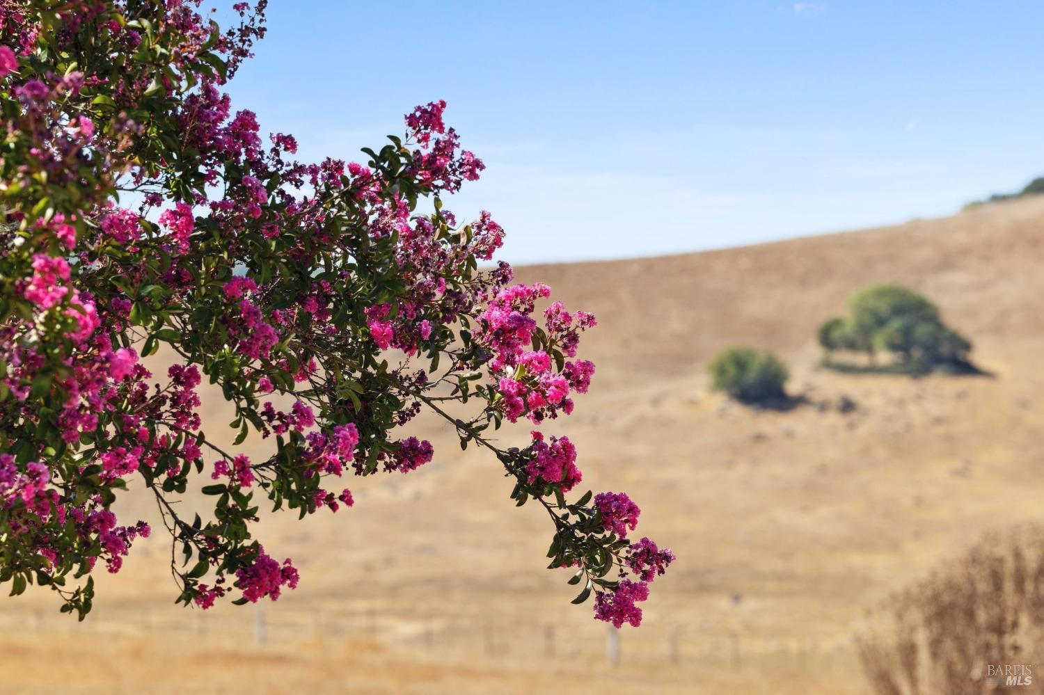 Detail Gallery Image 72 of 83 For 223 Wilson Hill Rd, Petaluma,  CA 94952 - 3 Beds | 3/1 Baths