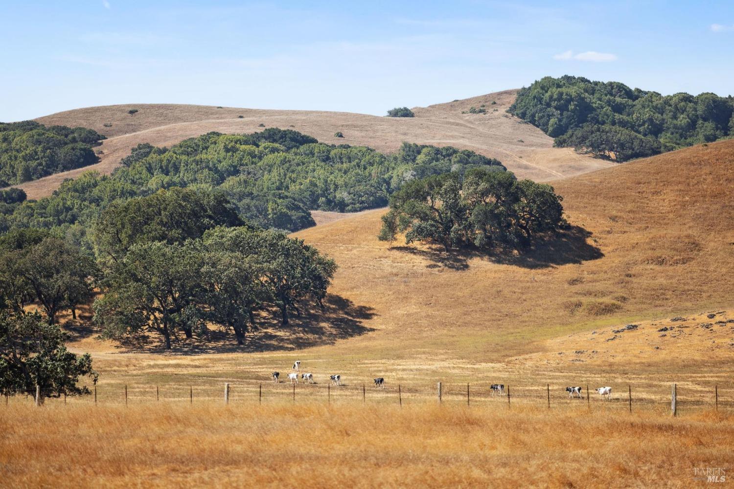 Detail Gallery Image 55 of 83 For 223 Wilson Hill Rd, Petaluma,  CA 94952 - 3 Beds | 3/1 Baths