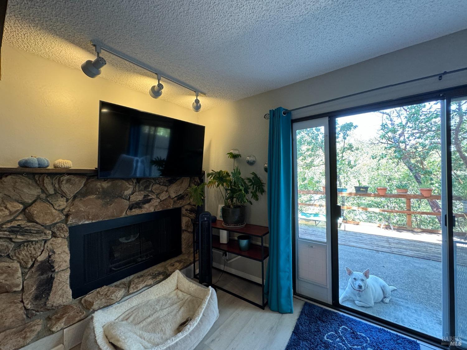 Detail Gallery Image 10 of 20 For 280 San Jacinta Dr #P,  Ukiah,  CA 95482 - 2 Beds | 1/1 Baths