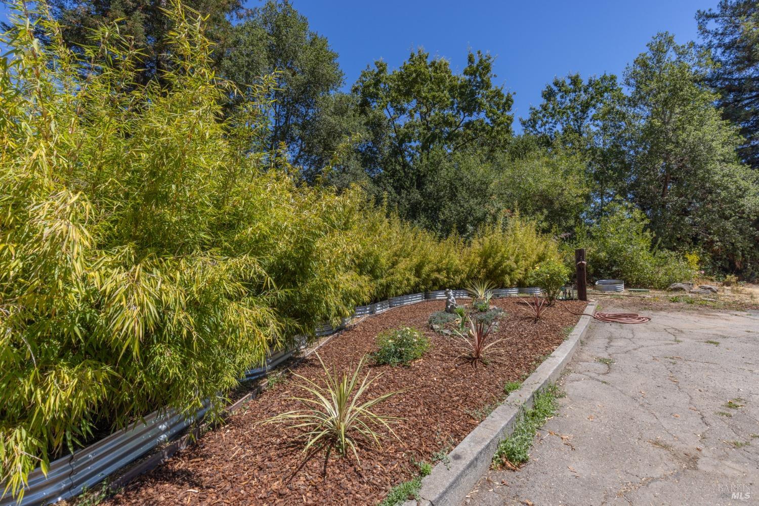 Detail Gallery Image 54 of 66 For 1162 Duer Rd, Sebastopol,  CA 95472 - 3 Beds | 2 Baths