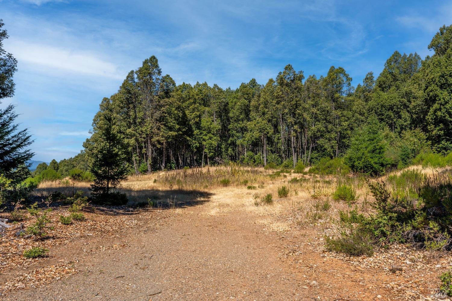 Detail Gallery Image 23 of 28 For 36955 Eureka Stagecoach Rd, Willits,  CA 95490 - 2 Beds | 2 Baths