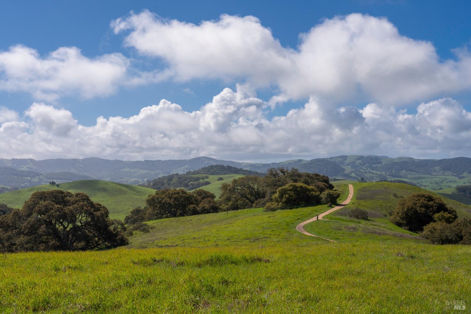 Detail Gallery Image 51 of 52 For 232 Cambridge Ln, Petaluma,  CA 94952 - 4 Beds | 3 Baths