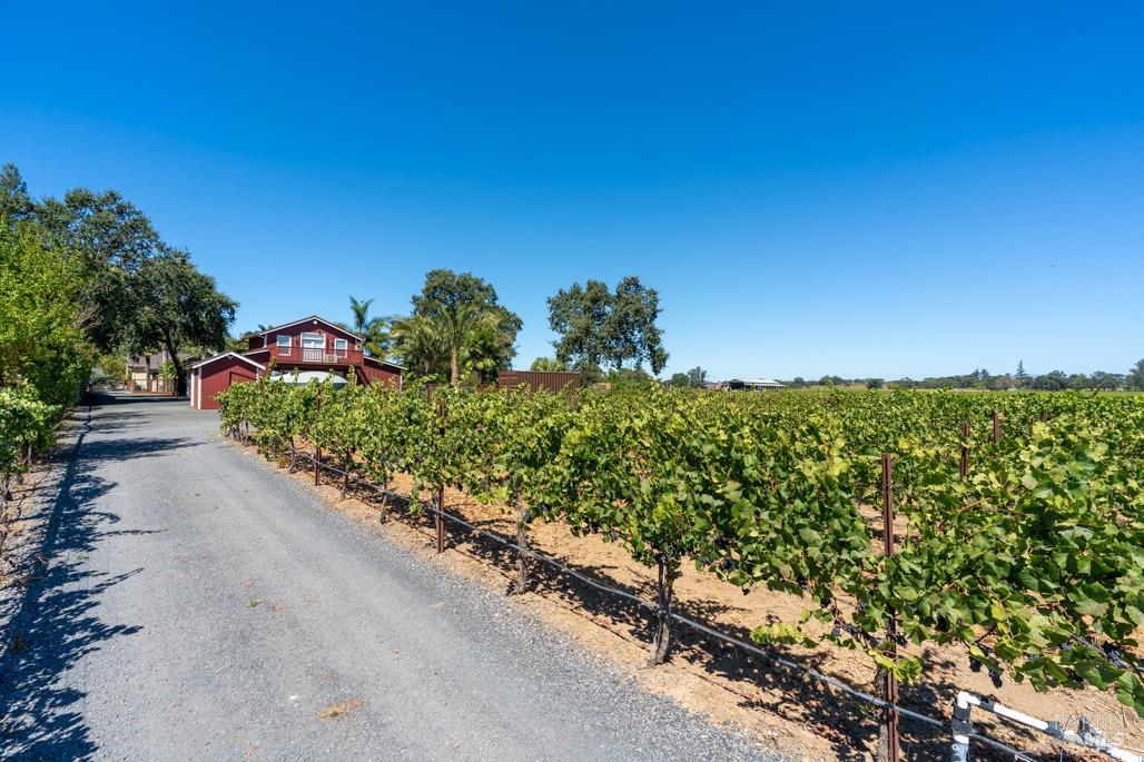 Detail Gallery Image 50 of 56 For 1636 Abramson Rd, Santa Rosa,  CA 95401 - 3 Beds | 2/2 Baths