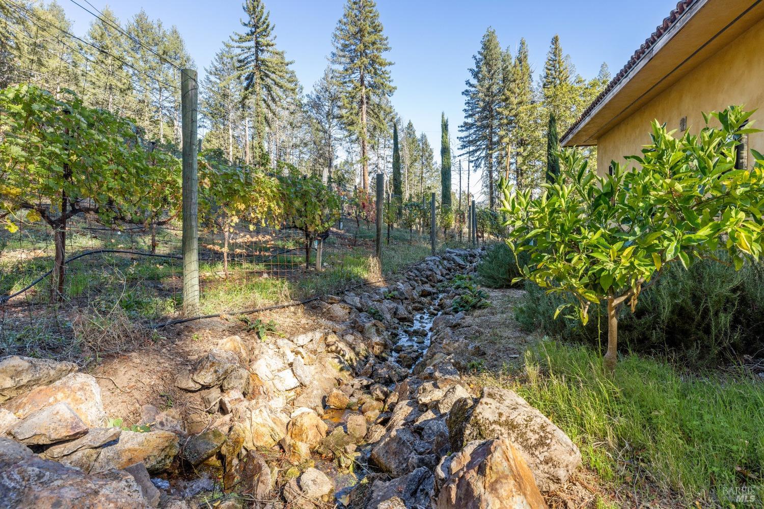 Detail Gallery Image 6 of 49 For 3390 Mount Veeder Rd, Napa,  CA 94558 - 2 Beds | 1 Baths