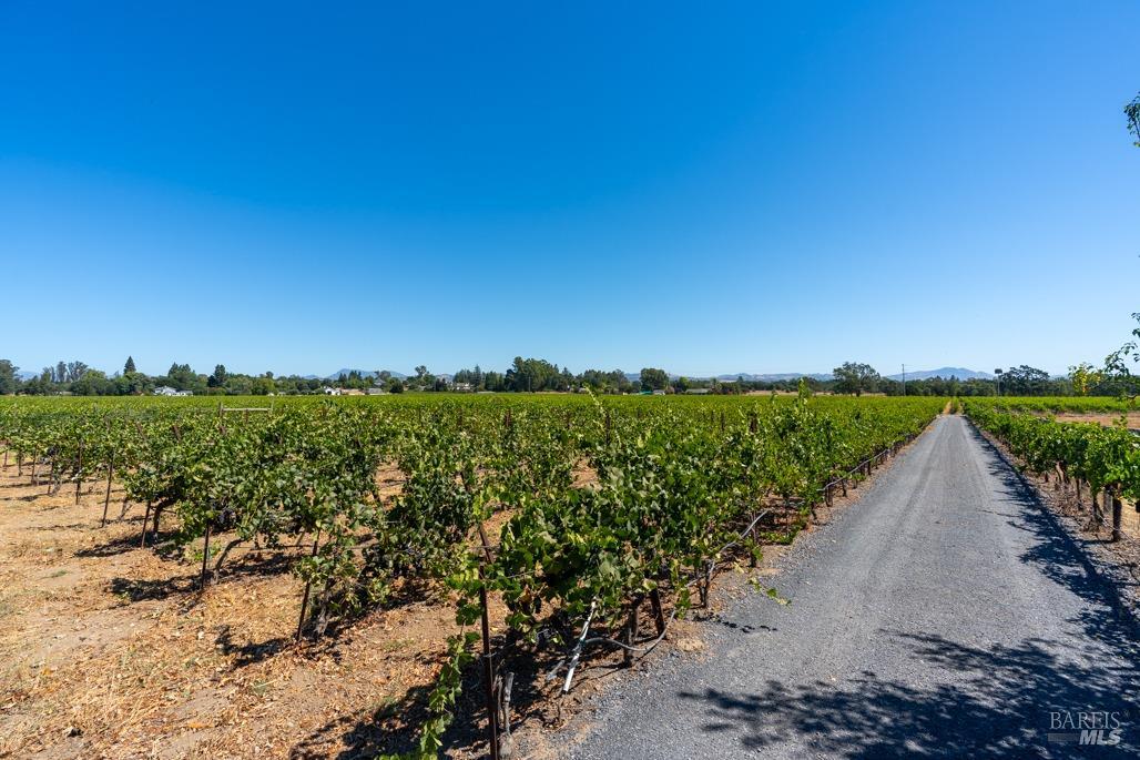 Detail Gallery Image 51 of 56 For 1636 Abramson Rd, Santa Rosa,  CA 95401 - 3 Beds | 2/2 Baths