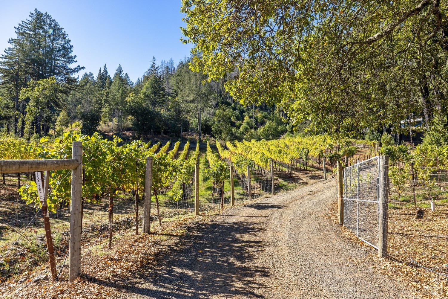 Detail Gallery Image 5 of 49 For 3390 Mount Veeder Rd, Napa,  CA 94558 - 2 Beds | 1 Baths