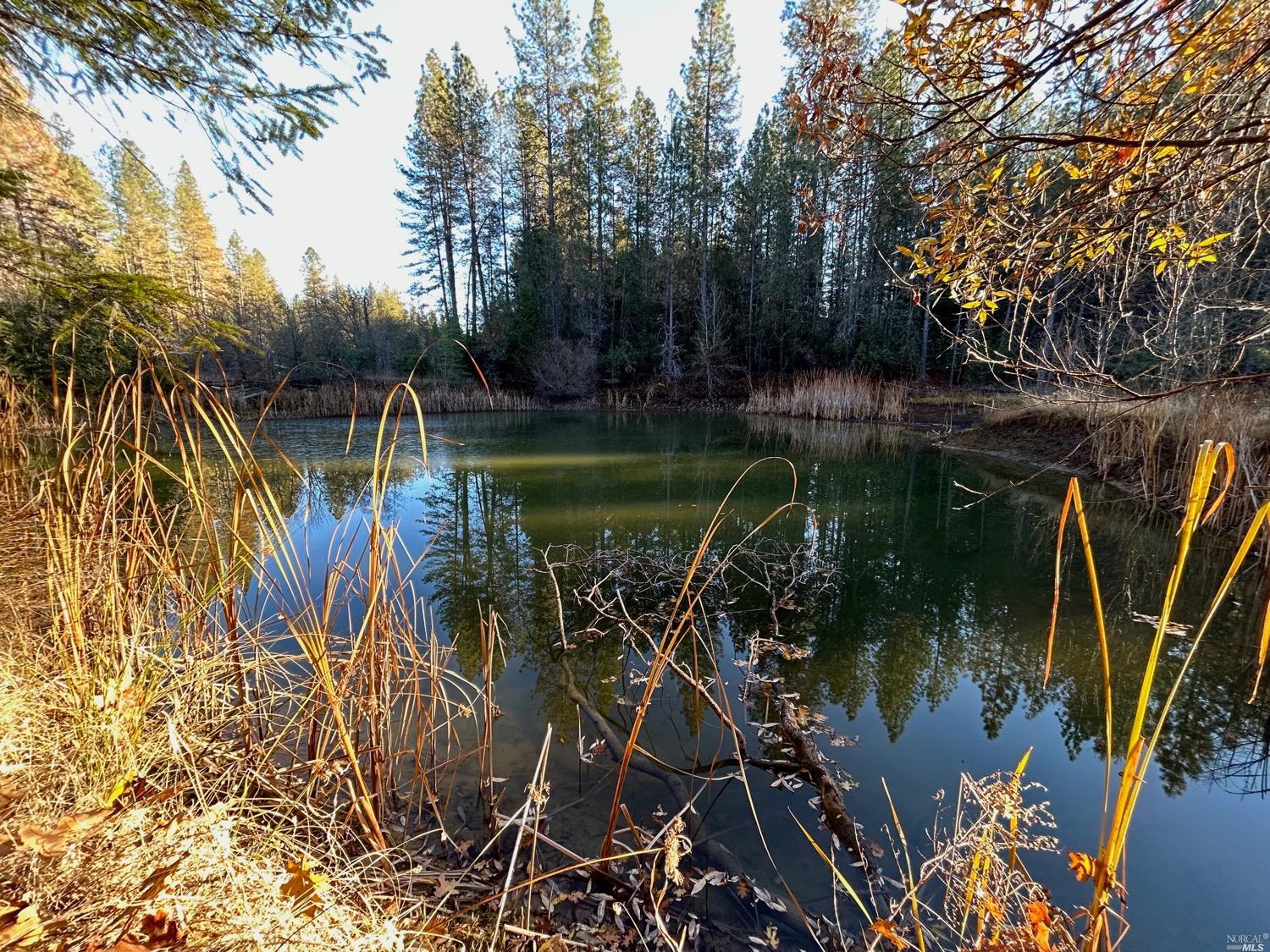 Detail Gallery Image 30 of 41 For 2651 Tenmile Creek Rd, Laytonville,  CA 95454 - – Beds | – Baths