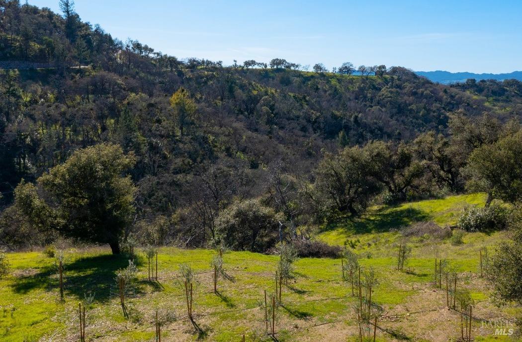 Detail Gallery Image 61 of 64 For 3171 Wright Ranch Ln, Healdsburg,  CA 95448 - 5 Beds | 4/2 Baths