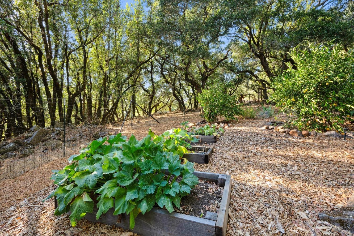 Detail Gallery Image 60 of 65 For 2928 Bardy Rd, Santa Rosa,  CA 95404 - 2 Beds | 2 Baths