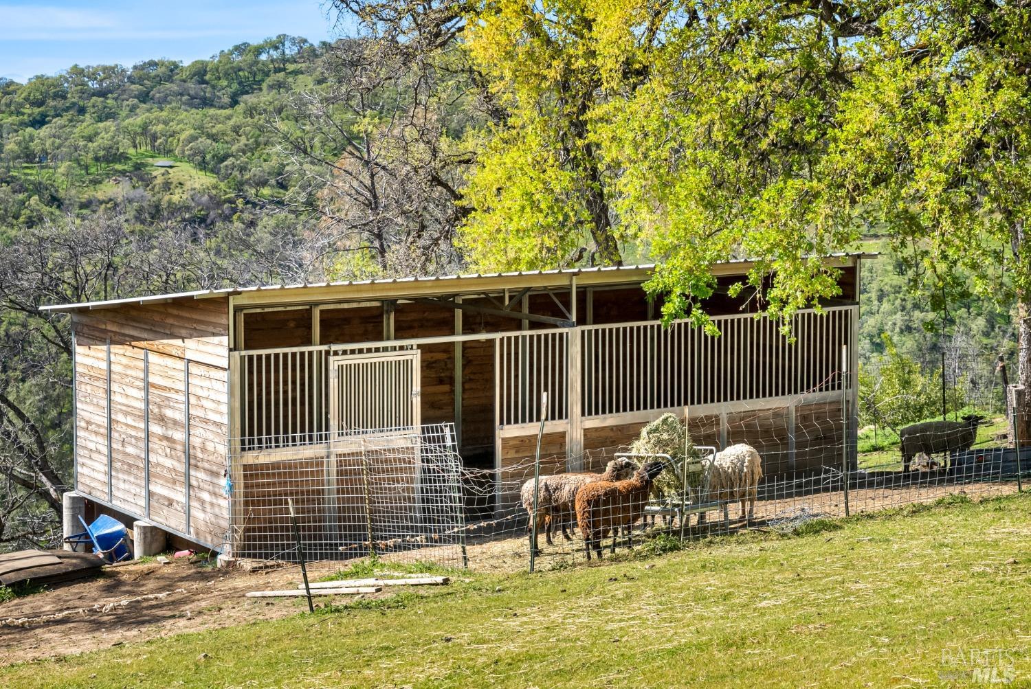 Detail Gallery Image 44 of 45 For 90 Longhorn Ridge Rd, Napa,  CA 94558 - 5 Beds | 4 Baths