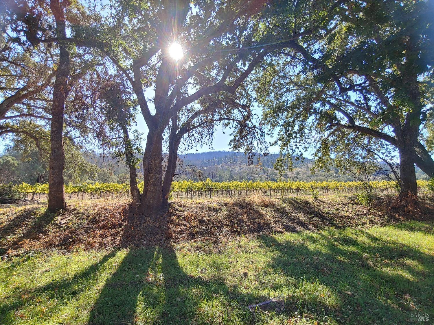 Detail Gallery Image 70 of 86 For 4104 Highway 29 Unkn, Calistoga,  CA 94515 - 4 Beds | 2 Baths