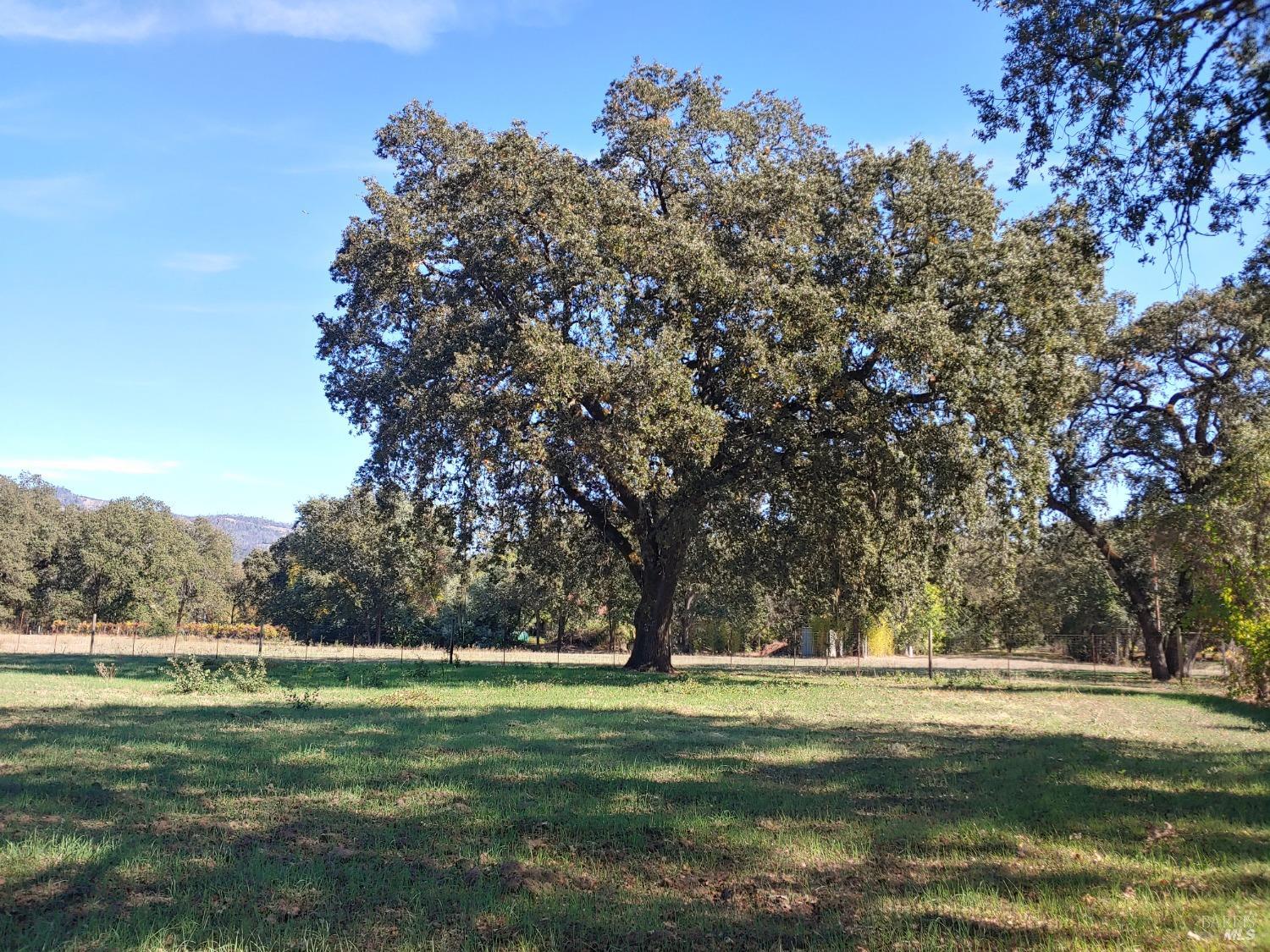 Detail Gallery Image 67 of 86 For 4104 Highway 29 Unkn, Calistoga,  CA 94515 - 4 Beds | 2 Baths