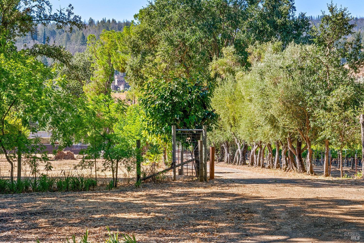 Detail Gallery Image 4 of 86 For 4104 Highway 29 Unkn, Calistoga,  CA 94515 - 4 Beds | 2 Baths