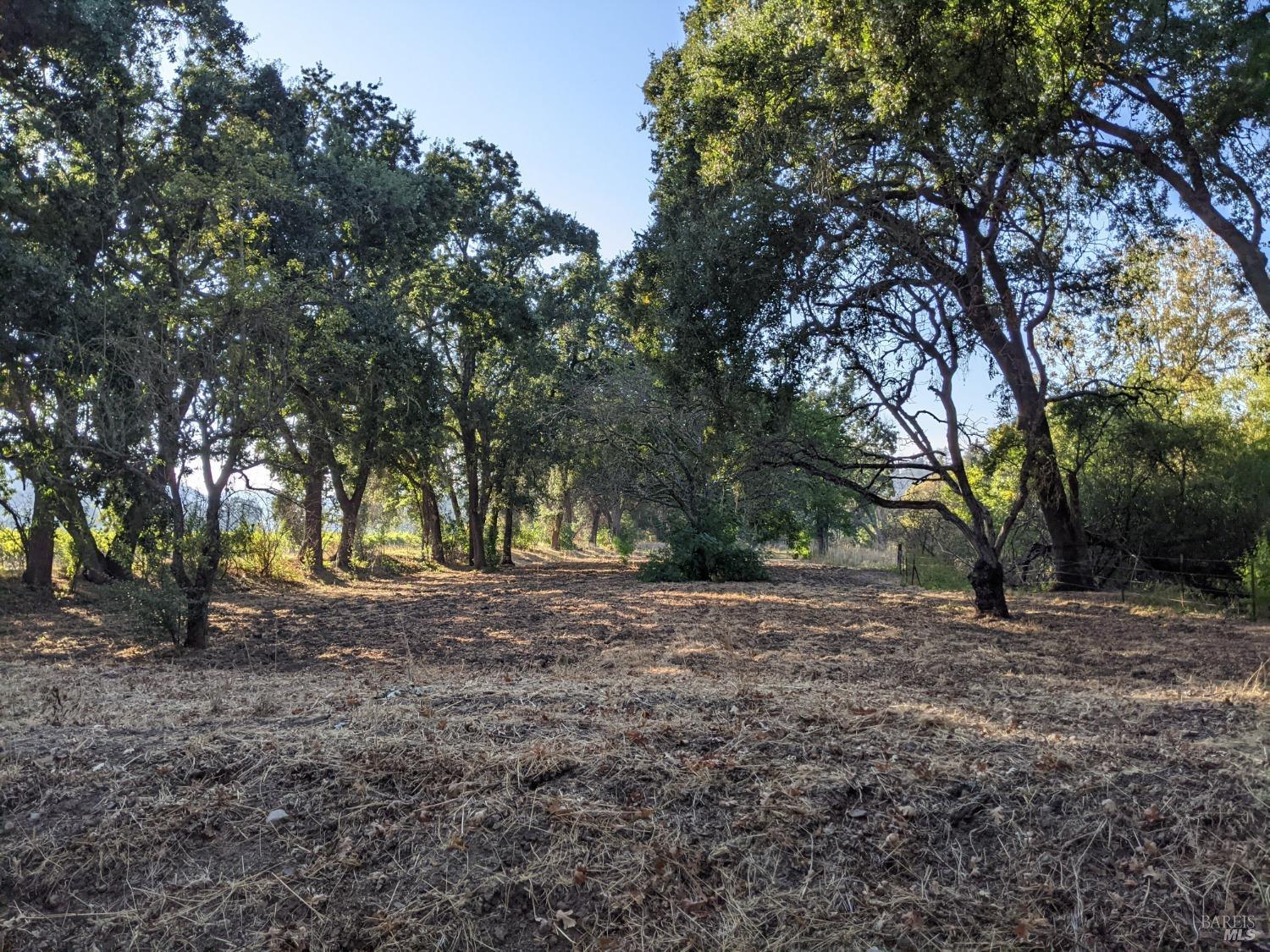 Detail Gallery Image 76 of 86 For 4104 Highway 29 Unkn, Calistoga,  CA 94515 - 4 Beds | 2 Baths