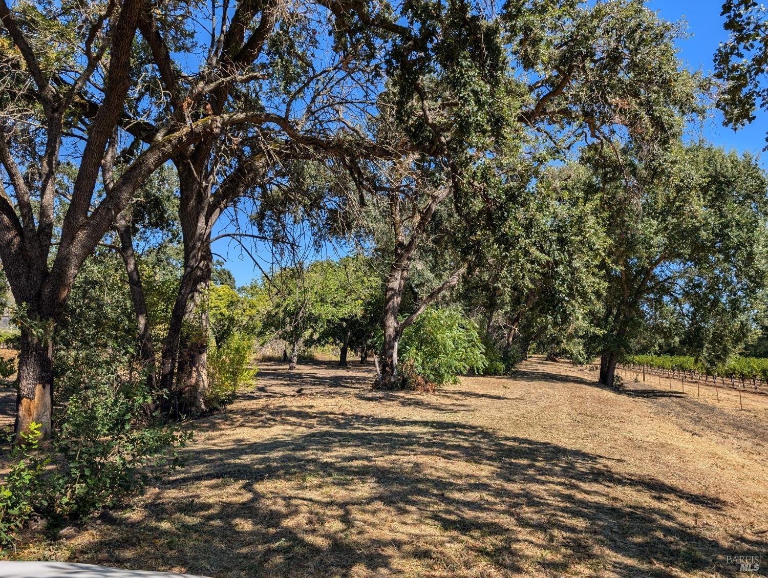 Detail Gallery Image 84 of 86 For 4104 Highway 29 Unkn, Calistoga,  CA 94515 - 4 Beds | 2 Baths