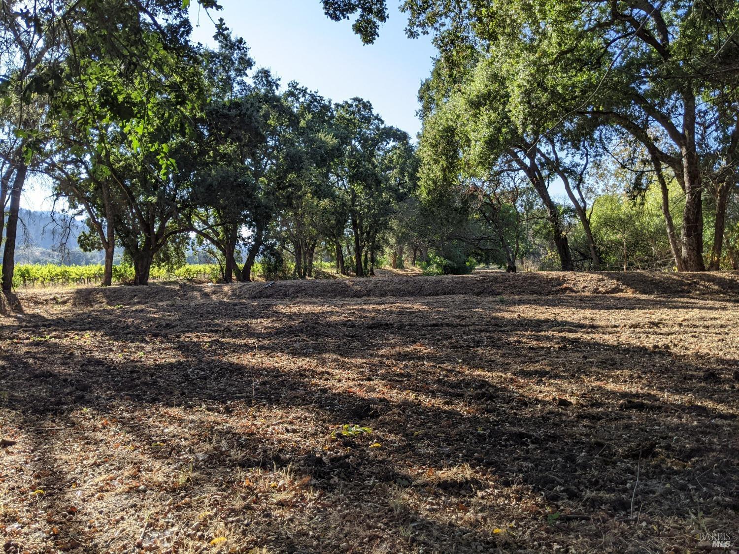 Detail Gallery Image 74 of 86 For 4104 Highway 29 Unkn, Calistoga,  CA 94515 - 4 Beds | 2 Baths