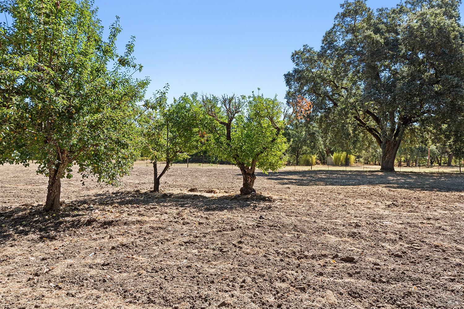 Detail Gallery Image 56 of 86 For 4104 Highway 29 Unkn, Calistoga,  CA 94515 - 4 Beds | 2 Baths