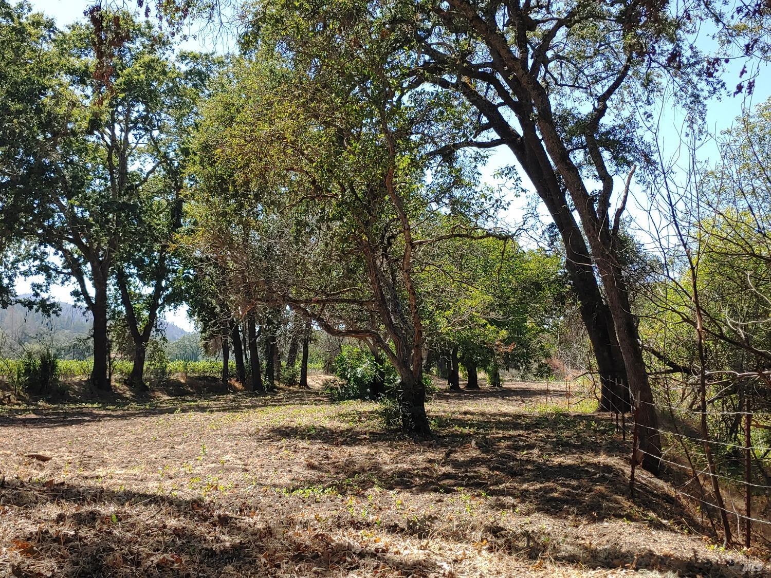 Detail Gallery Image 62 of 86 For 4104 Highway 29 Unkn, Calistoga,  CA 94515 - 4 Beds | 2 Baths