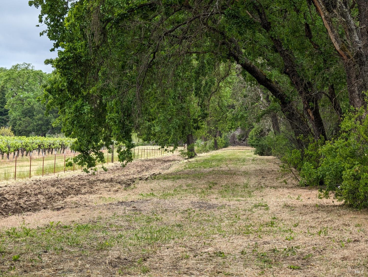 Detail Gallery Image 77 of 86 For 4104 Highway 29 Unkn, Calistoga,  CA 94515 - 4 Beds | 2 Baths