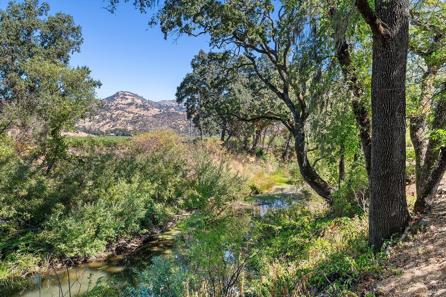 Detail Gallery Image 51 of 86 For 4104 Highway 29 Unkn, Calistoga,  CA 94515 - 4 Beds | 2 Baths