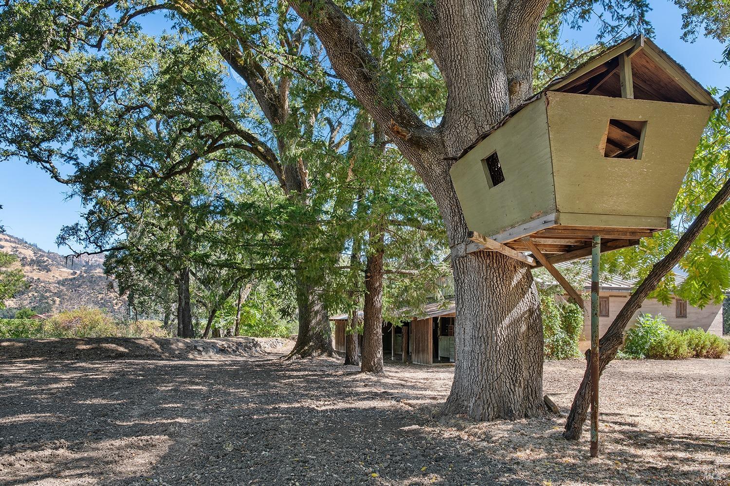 Detail Gallery Image 43 of 86 For 4104 Highway 29 Unkn, Calistoga,  CA 94515 - 4 Beds | 2 Baths