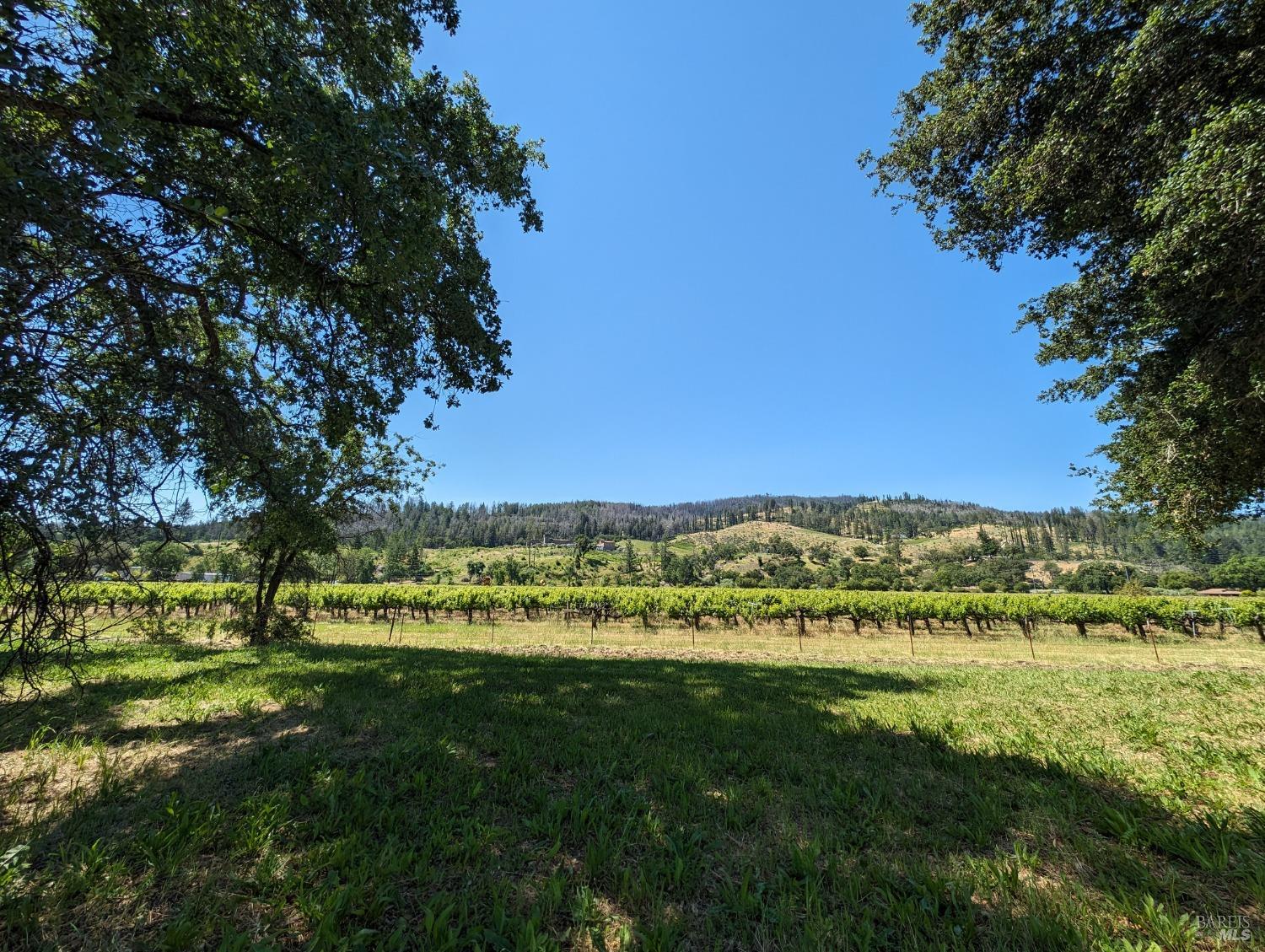 Detail Gallery Image 79 of 86 For 4104 Highway 29 Unkn, Calistoga,  CA 94515 - 4 Beds | 2 Baths