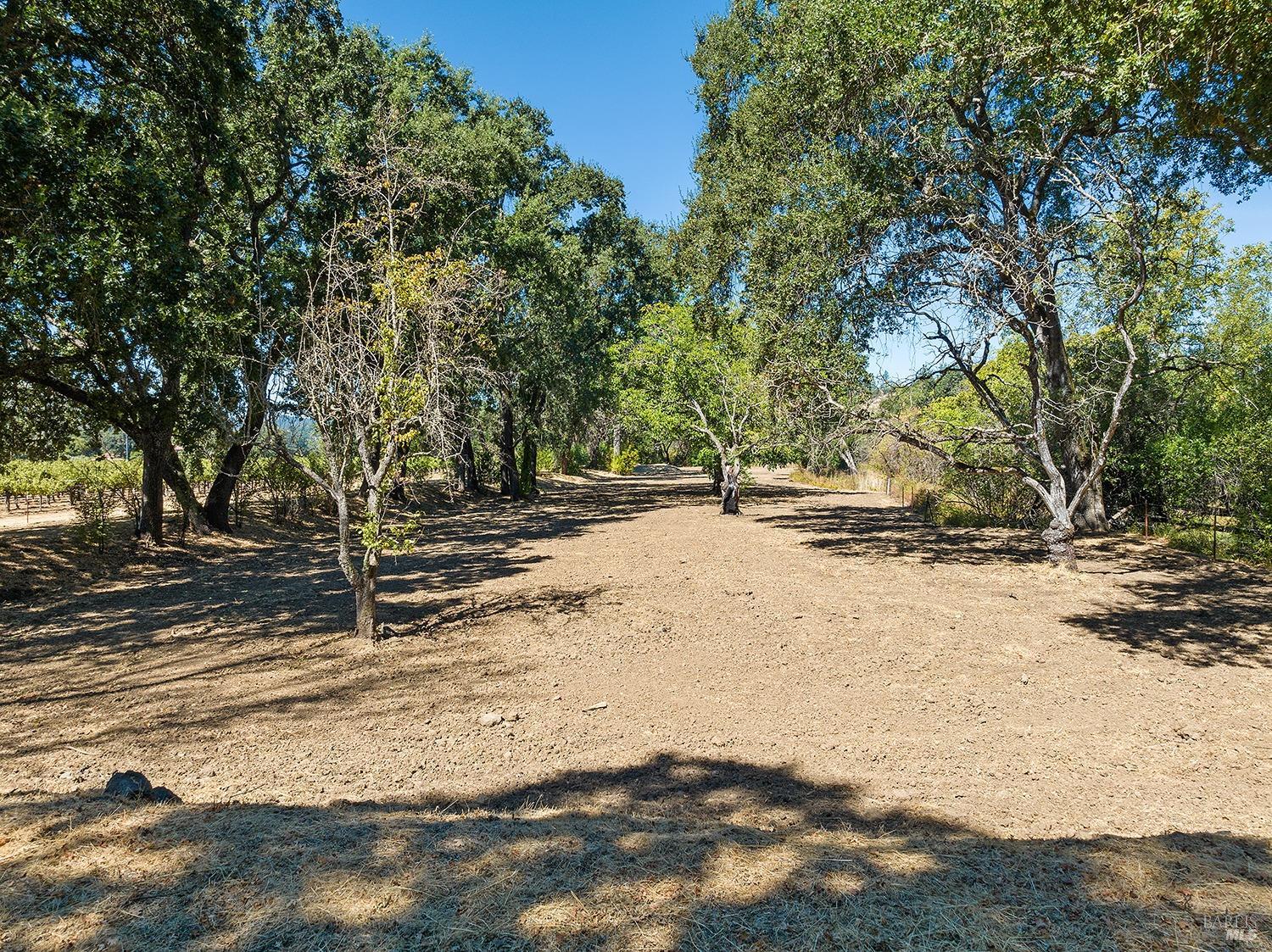 Detail Gallery Image 14 of 24 For 0 Saint Helena Hwy, Calistoga,  CA 94515 - – Beds | – Baths