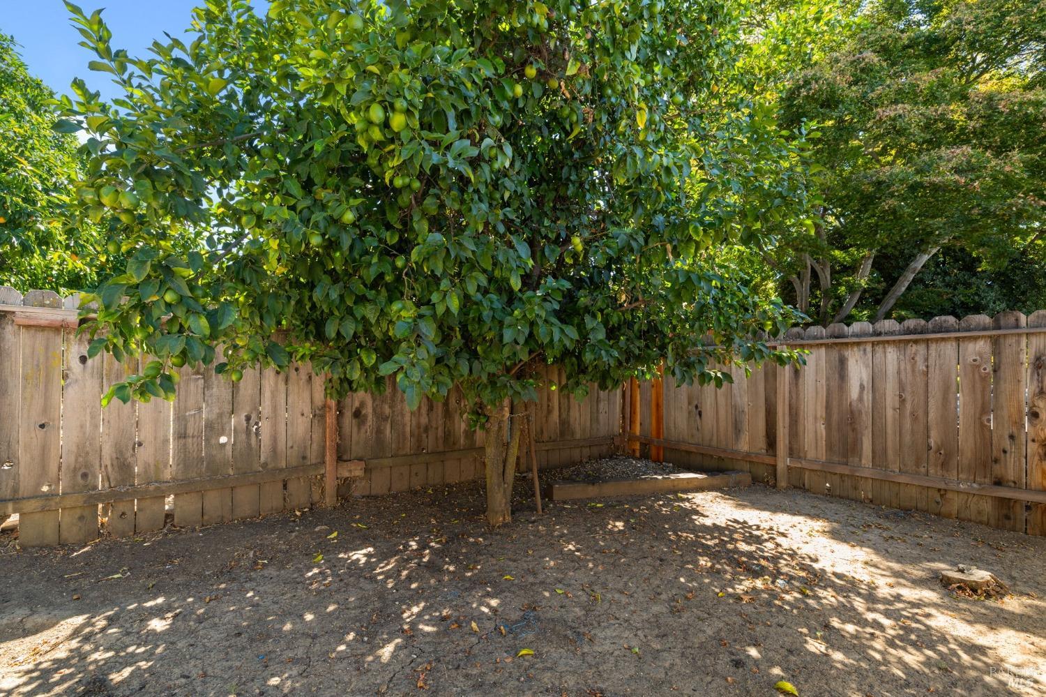 Detail Gallery Image 27 of 30 For 1812 Clay St, Fairfield,  CA 94533 - 3 Beds | 2 Baths