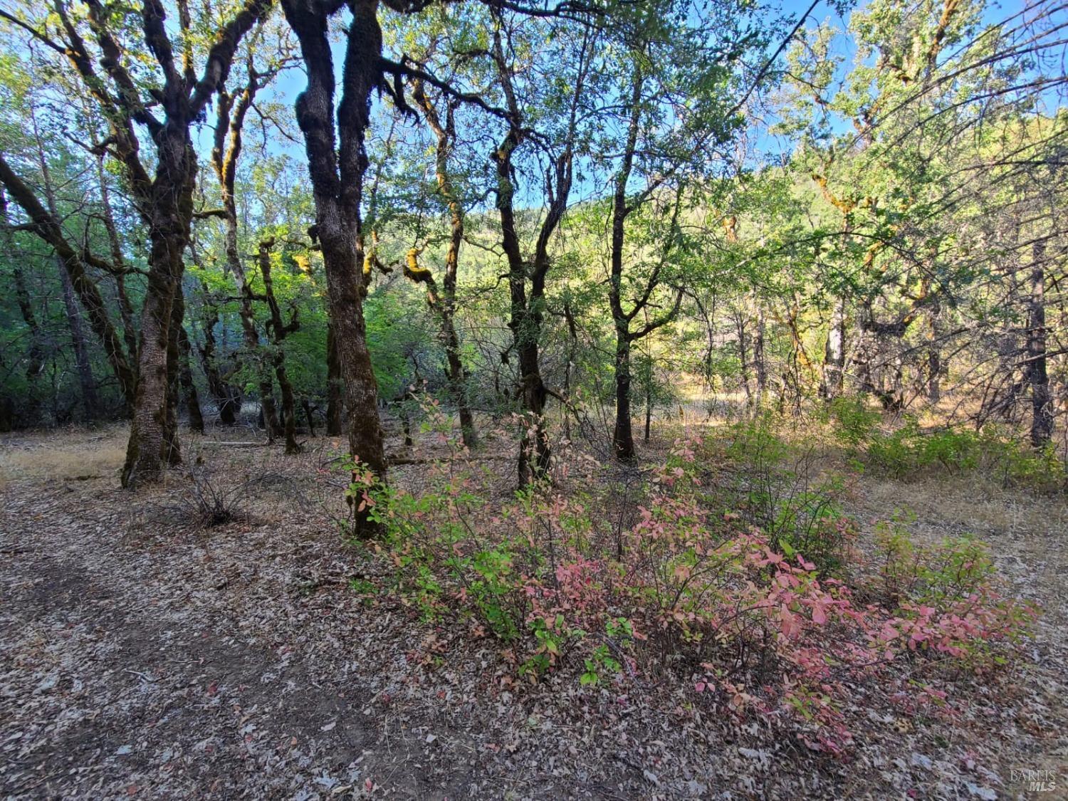 Detail Gallery Image 30 of 31 For 0 Mina Rd, Covelo,  CA 95428 - – Beds | – Baths