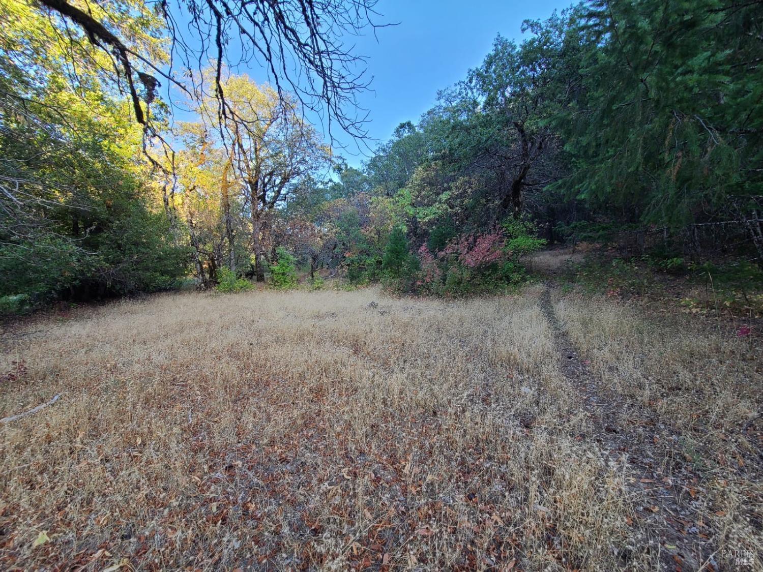 Detail Gallery Image 7 of 31 For 0 Mina Rd, Covelo,  CA 95428 - – Beds | – Baths