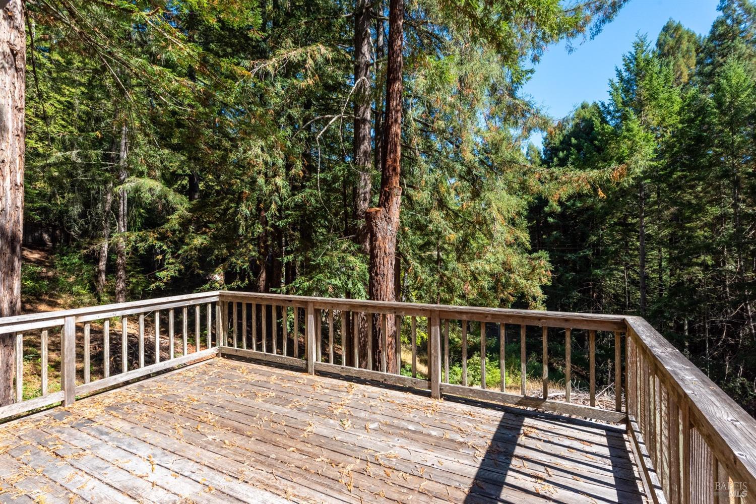 Detail Gallery Image 11 of 45 For 16220 Bittner Rd, Occidental,  CA 95465 - 3 Beds | 2/1 Baths