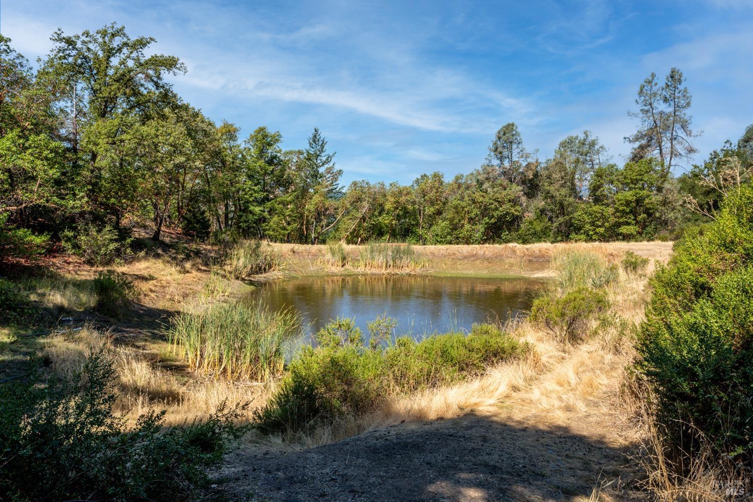 Detail Gallery Image 22 of 37 For 34010 Shimmins Ridge Rdgs, Willits,  CA 95490 - 2 Beds | 1 Baths