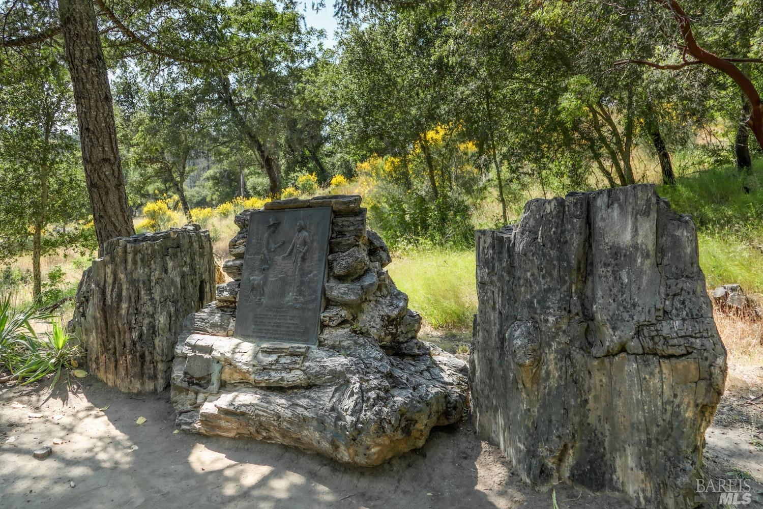 Detail Gallery Image 5 of 54 For 4100 Petrified Forest Rd, Calistoga,  CA 94515 - – Beds | – Baths