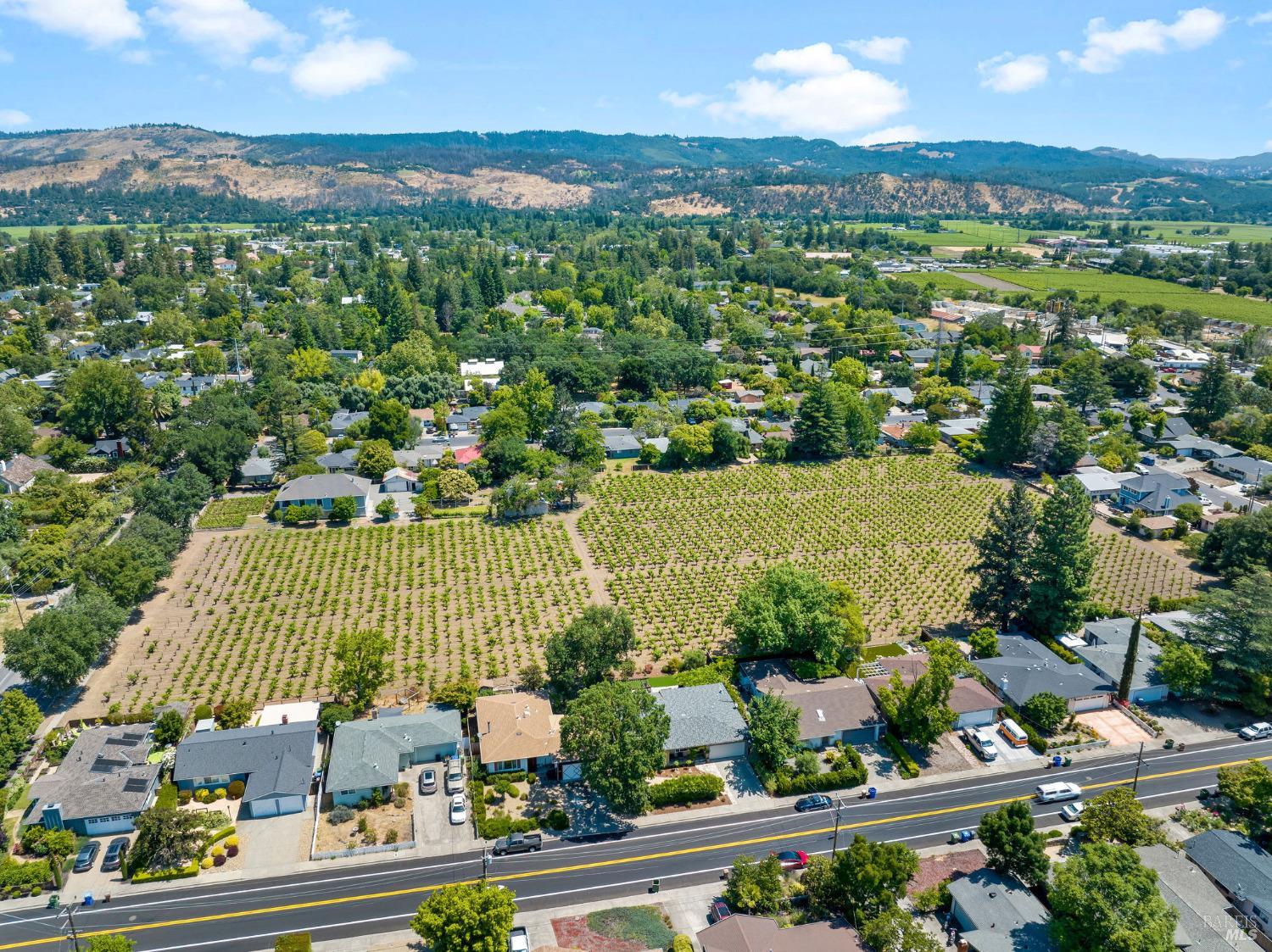 Detail Gallery Image 42 of 58 For 1134 Valley View St, Saint Helena,  CA 94574 - 3 Beds | 2 Baths