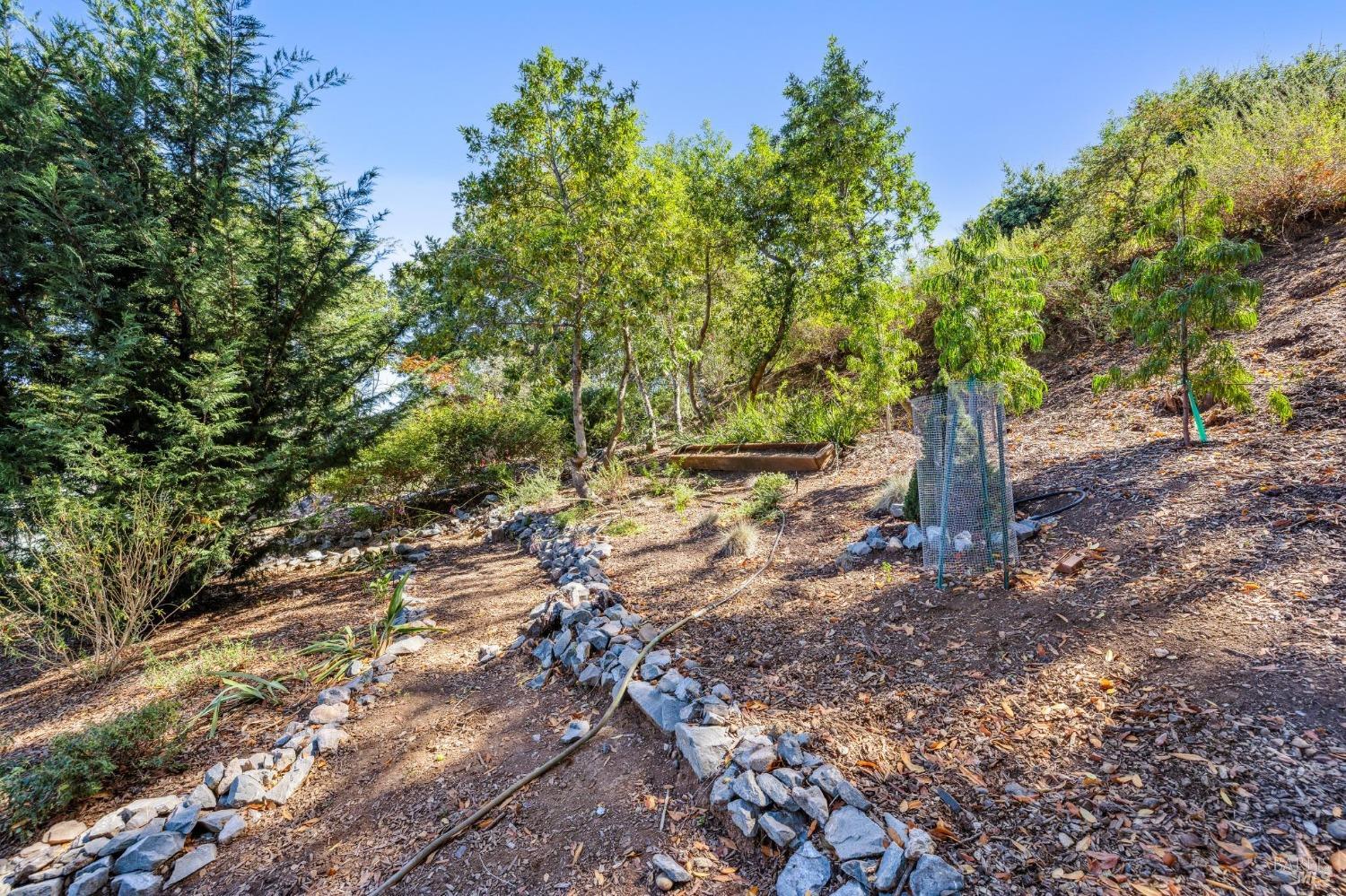 Detail Gallery Image 32 of 40 For 10 Hillside Ter, Novato,  CA 94945 - 2 Beds | 1 Baths