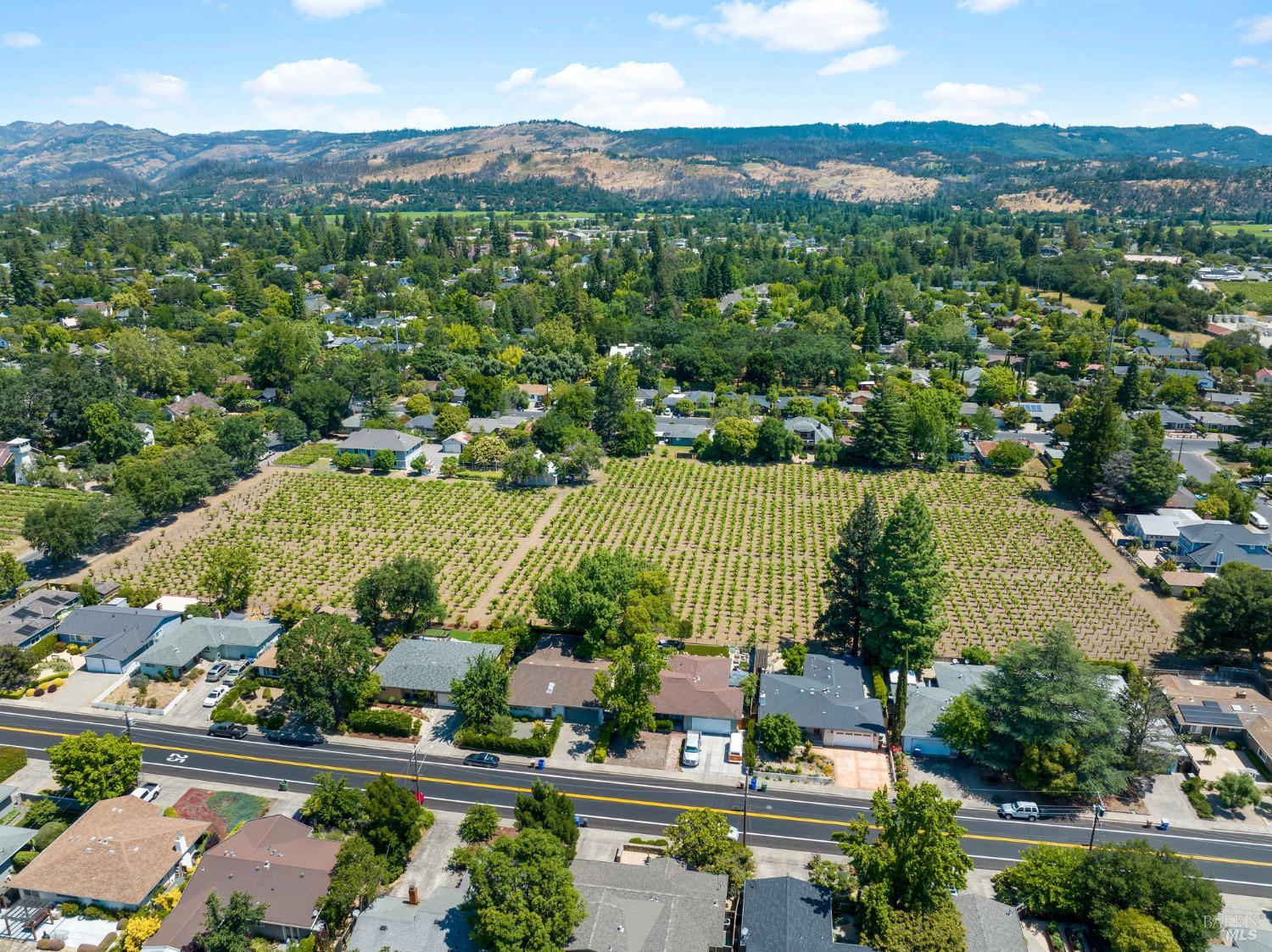 Detail Gallery Image 44 of 58 For 1134 Valley View St, Saint Helena,  CA 94574 - 3 Beds | 2 Baths