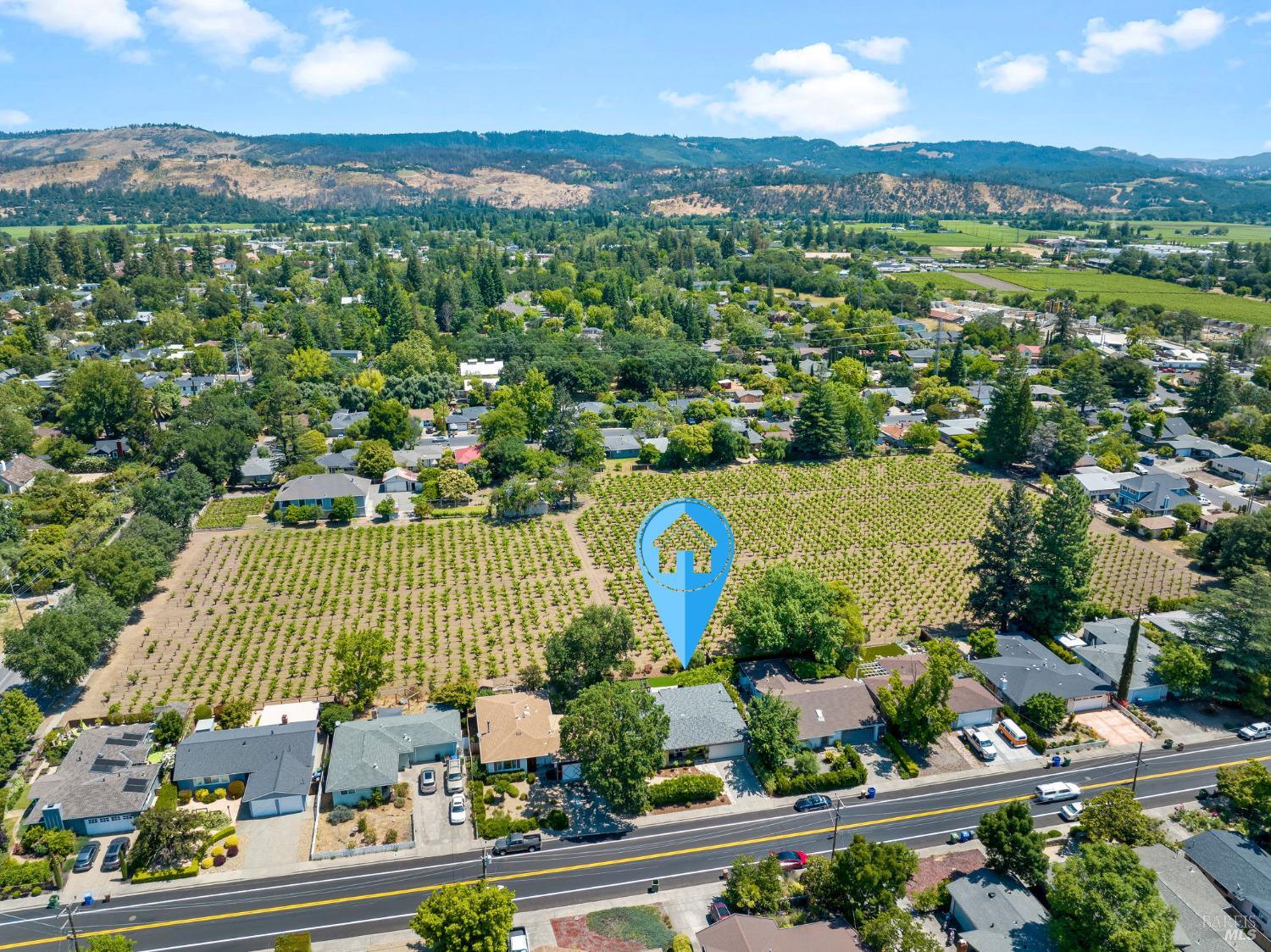 Detail Gallery Image 43 of 58 For 1134 Valley View St, Saint Helena,  CA 94574 - 3 Beds | 2 Baths