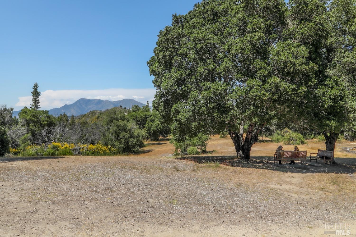 Detail Gallery Image 8 of 54 For 4100 Petrified Forest Rd, Calistoga,  CA 94515 - – Beds | – Baths